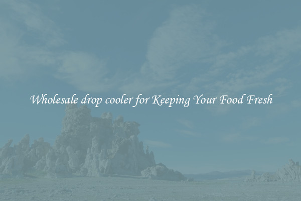 Wholesale drop cooler for Keeping Your Food Fresh
