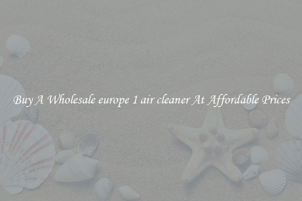 Buy A Wholesale europe 1 air cleaner At Affordable Prices