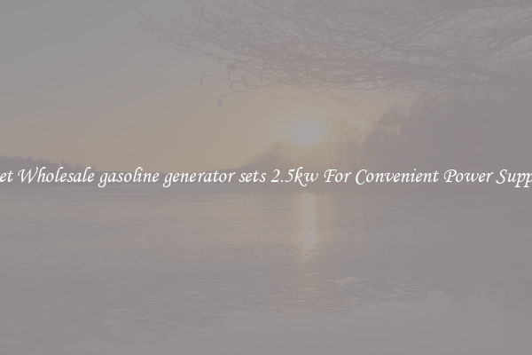 Get Wholesale gasoline generator sets 2.5kw For Convenient Power Supply