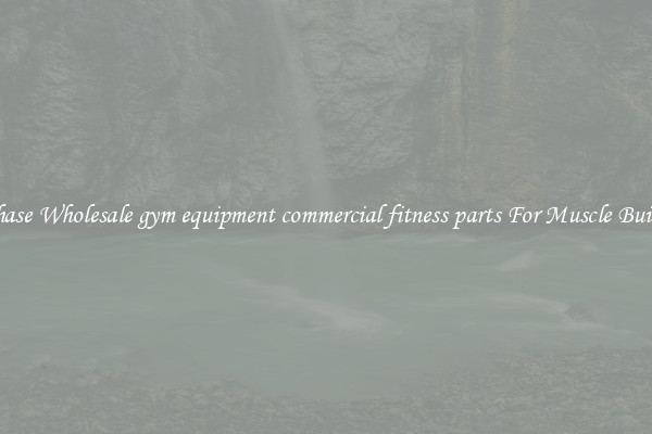 Purchase Wholesale gym equipment commercial fitness parts For Muscle Building.
