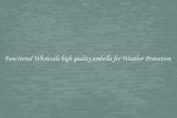 Functional Wholesale high quality umbella for Weather Protection 