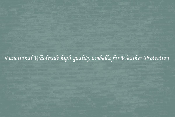 Functional Wholesale high quality umbella for Weather Protection 