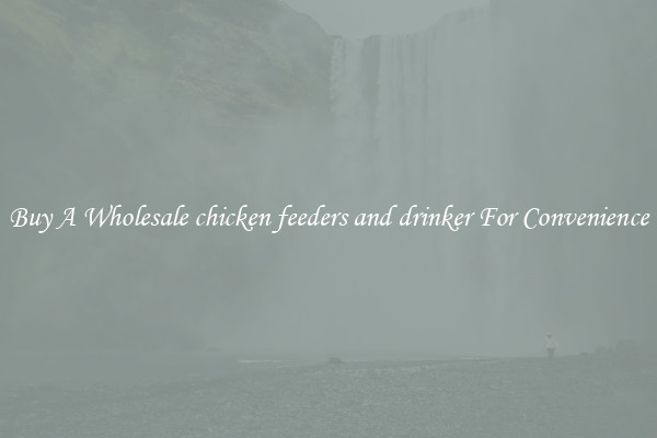 Buy A Wholesale chicken feeders and drinker For Convenience