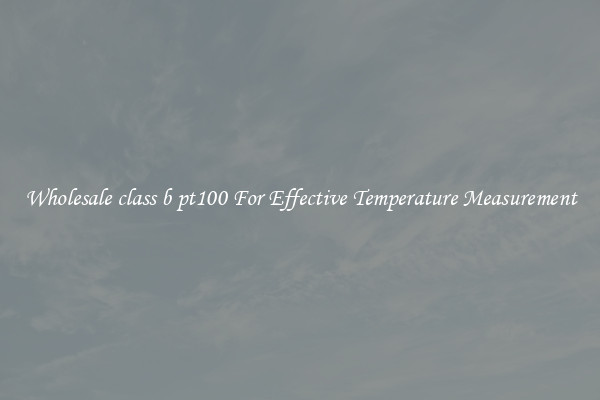 Wholesale class b pt100 For Effective Temperature Measurement