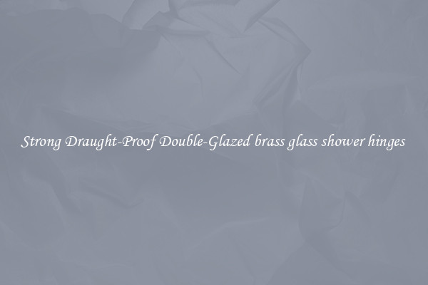 Strong Draught-Proof Double-Glazed brass glass shower hinges 