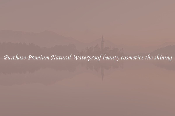 Purchase Premium Natural Waterproof beauty cosmetics the shining