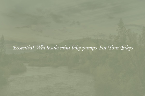 Essential Wholesale mini bike pumps For Your Bikes