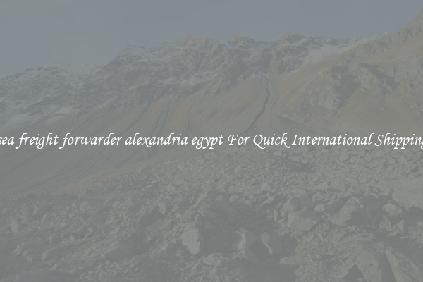 sea freight forwarder alexandria egypt For Quick International Shipping