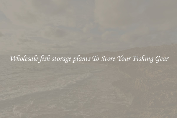 Wholesale fish storage plants To Store Your Fishing Gear