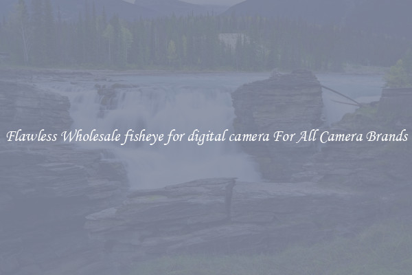 Flawless Wholesale fisheye for digital camera For All Camera Brands