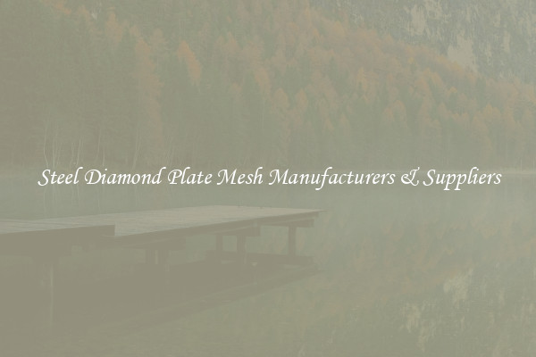 Steel Diamond Plate Mesh Manufacturers & Suppliers