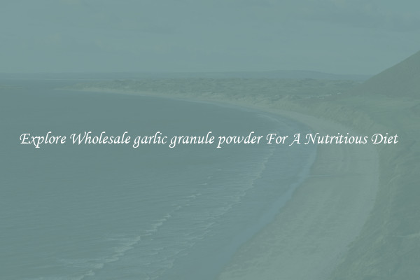 Explore Wholesale garlic granule powder For A Nutritious Diet 