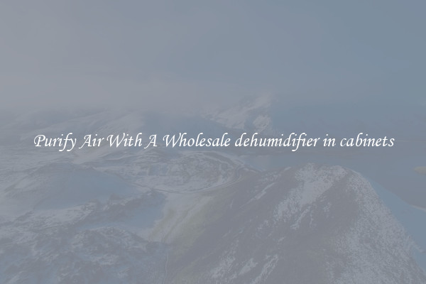 Purify Air With A Wholesale dehumidifier in cabinets