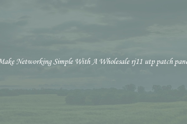 Make Networking Simple With A Wholesale rj11 utp patch panel