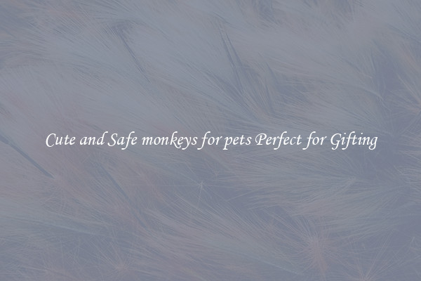Cute and Safe monkeys for pets Perfect for Gifting